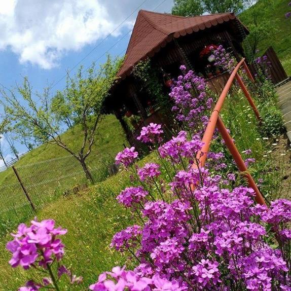 Pensiunea Agroturistica Stefan Viorica Moldovita Εξωτερικό φωτογραφία